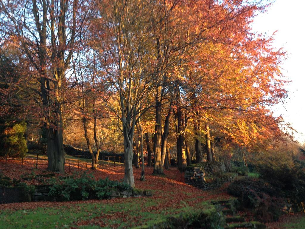 Robin Hood Farm B&B Baslow Kültér fotó