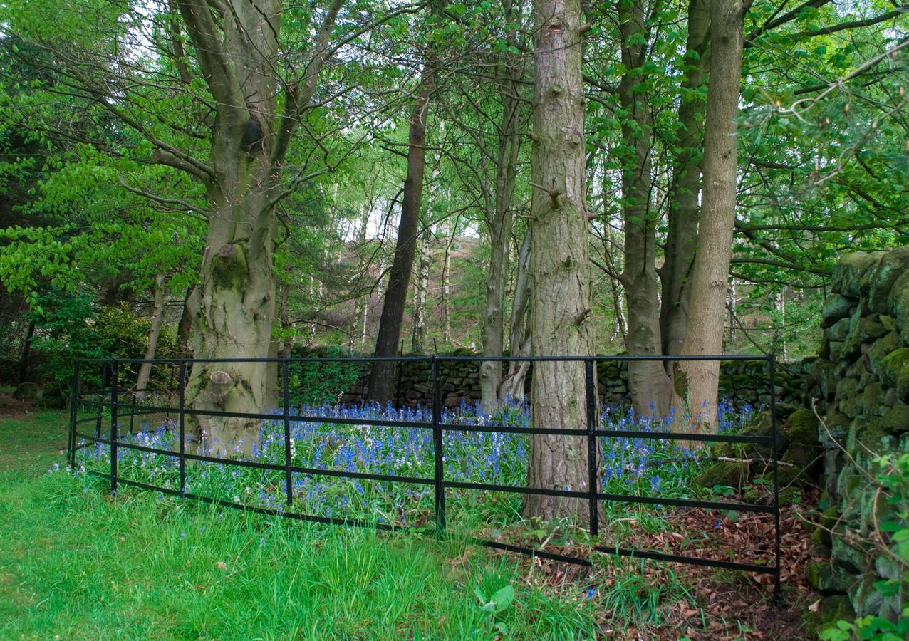 Robin Hood Farm B&B Baslow Kültér fotó